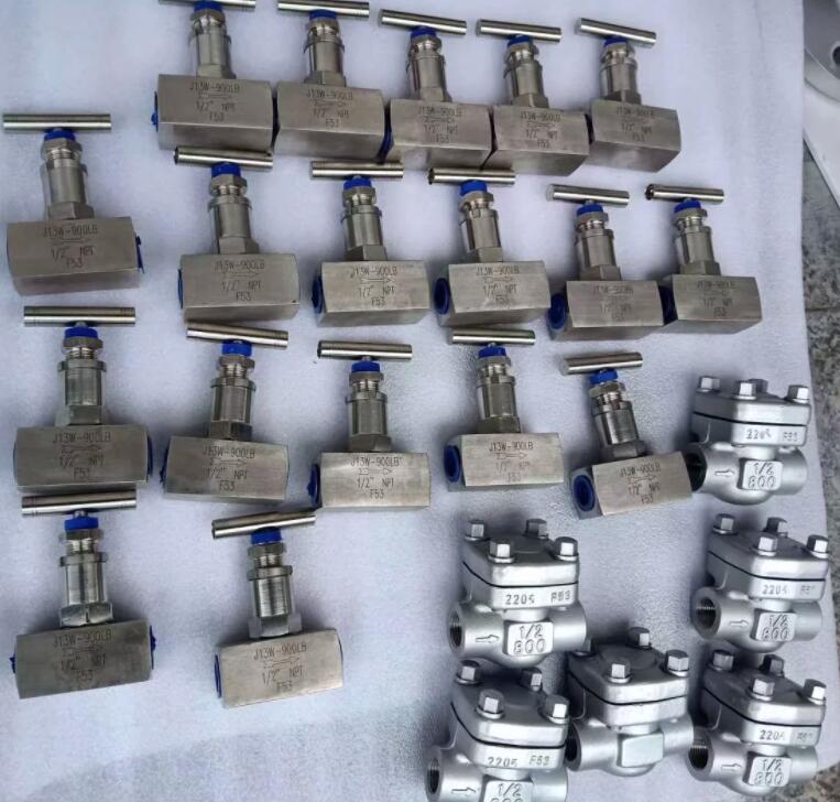 F53雙相鋼螺紋針型閥