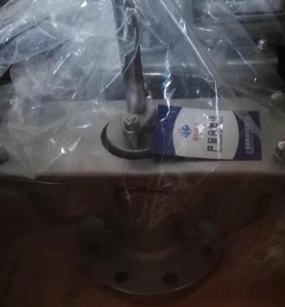 2205雙相鋼法蘭雙口排氣閥