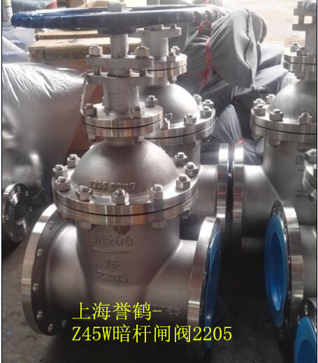 2205雙相鋼暗桿閘閥