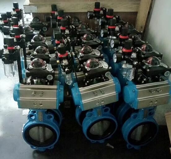 氣動(dòng)對(duì)夾式軟密封蝶閥